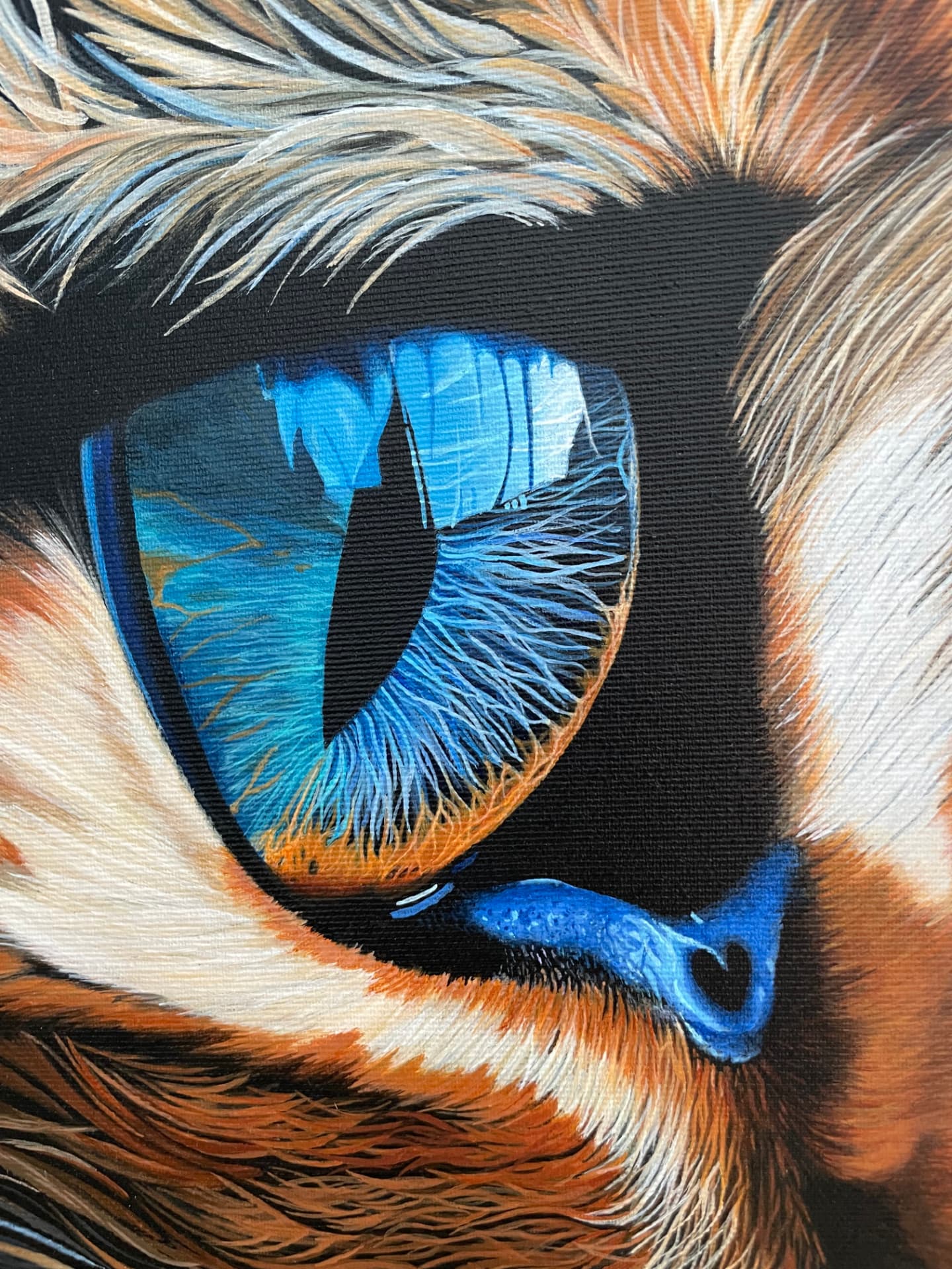 Katzenauge, Gemälde von Adriana Widmer