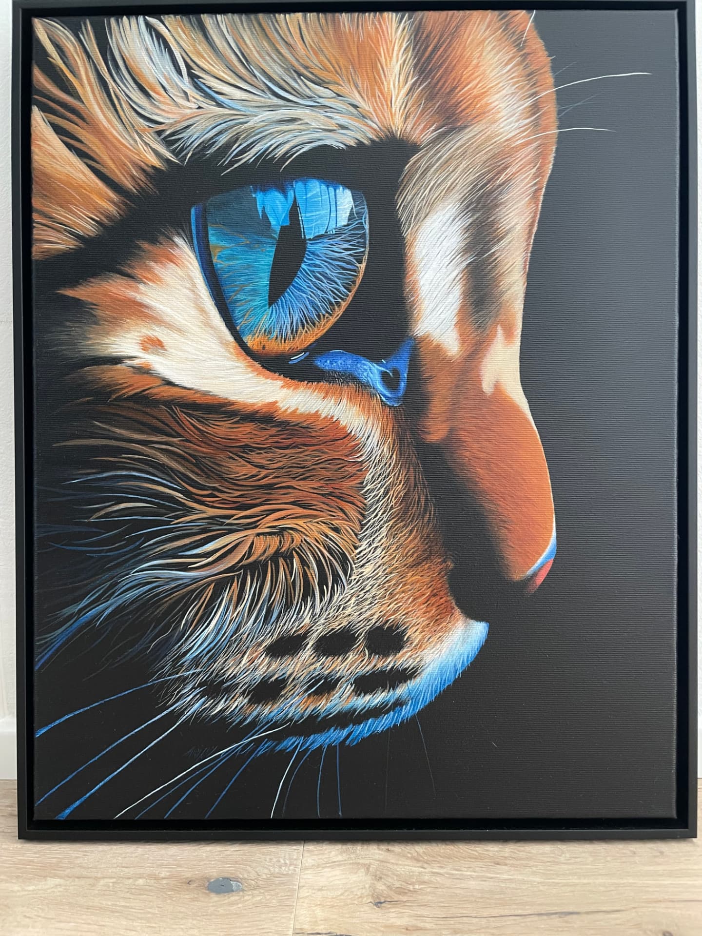 The Shine, Nahaufnahme einer Katze mit blauem Auge auf schwarzem Grund, Purrfection, Original WILDHeART
